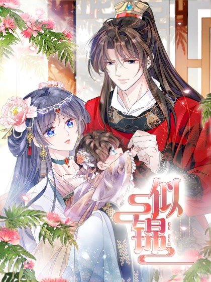 似錦封面